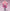 Sakura Miku: Hirohako 2025 Ver. (Hakodate) - Nendoroid Doll