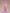 Jax - Nendoroid-Nendoroid-The Toucan Cove