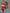 Shikinami Asuka Langley: Test Suit Ver. - Nendoroid-Nendoroid-The Toucan Cove