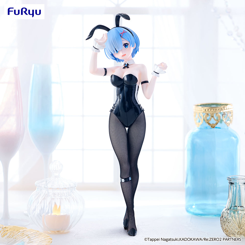 ReZERO -Starting Life in Another World- -Rem bicolor-FuRyu-The Toucan Cove