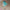 Hatsune Miku: Desktop Fairy - Wonderland Ver.-FuRyu-The Toucan Cove