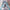 Hatsune Miku: Vintage Doll Style