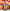 Umamusume: Pretty Derby: Cheval Grand - Tracen Ondo-SEGA-The Toucan Cove