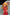 Asuka Shikinami Langley: Plugsuit Ver. - New Movie Edition (re-run)-Bell Fine-The Toucan Cove