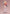 Marin Kitagawa Race Queen ver. - My Dress Up Darling-Aniplex-The Toucan Cove