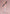 Marin Kitagawa Race Queen ver. - My Dress Up Darling-Aniplex-The Toucan Cove
