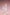 Chisato Nishikigi: White Dress Ver.-Bell Fine-The Toucan Cove