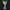 C.C. - Code Geass: Lelouch of the Rebellion (Re-release)-Union Creative-The Toucan Cove