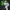 C.C. - Code Geass: Lelouch of the Rebellion (Re-release)-Union Creative-The Toucan Cove