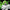 C.C. - Code Geass: Lelouch of the Rebellion (Re-release)-Union Creative-The Toucan Cove