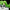C.C. - Code Geass: Lelouch of the Rebellion (Re-release)-Union Creative-The Toucan Cove