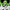 C.C. - Code Geass: Lelouch of the Rebellion (Re-release)-Union Creative-The Toucan Cove