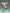 Berserker Sei Shounagon - Fate/Grand Order-Alter-The Toucan Cove