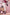 Honkai: Star Rail: Hyacine - Gift+ - 1/8 Scale Figure-Myethos-The Toucan Cove