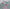 Hatsune Miku GT Project: Racing Miku 2025 Ver.-Good Smile Racing-The Toucan Cove