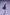 Kaho Hinoshita: Fortune Movie Ver.-Bell Fine-The Toucan Cove