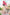 Liliya (re-run) - 1/7 Scale Figure-Shenzhen Mabell Animation Development-The Toucan Cove