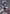 Maid Maison - Hanikami Kanojo: Hikage Chigami - 1/6 Scale Figure-DMM Factory-The Toucan Cove