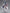 Maid Maison - Hanikami Kanojo: Hikage Chigami - 1/6 Scale Figure-DMM Factory-The Toucan Cove