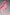 Riko-chan Illustration + Limited Edition - by Kimishima Ao-PinkMango-The Toucan Cove