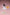 Takina Inoue: White Dress Ver.-Bell Fine-The Toucan Cove