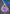 Tenka Izumo - Chinese Dress Ver.-Bell Fine-The Toucan Cove