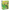 Deck Protector: Matte Apple Green (100)